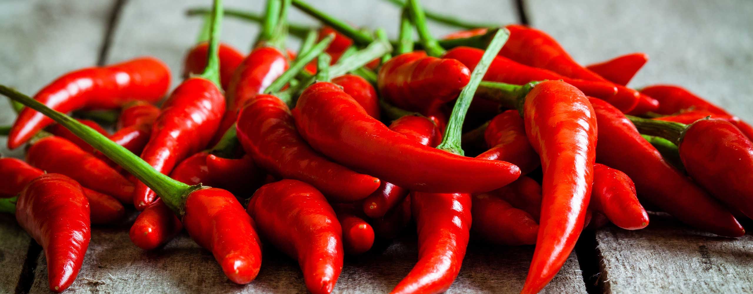 Sito web ristorante | PRINGO Sito web ristorante, sito web pizzeria, sito web food | PRINGO