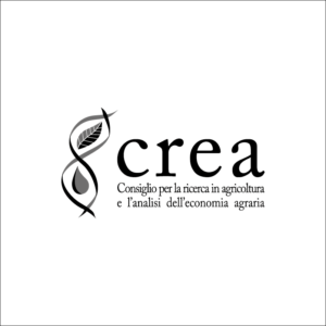 PRINGO | Studio grafico e agenzia di pubblicità. Servizi di: grafica, stampa, allestimenti, packaging, siti internet, SEO, social media, foto e video.