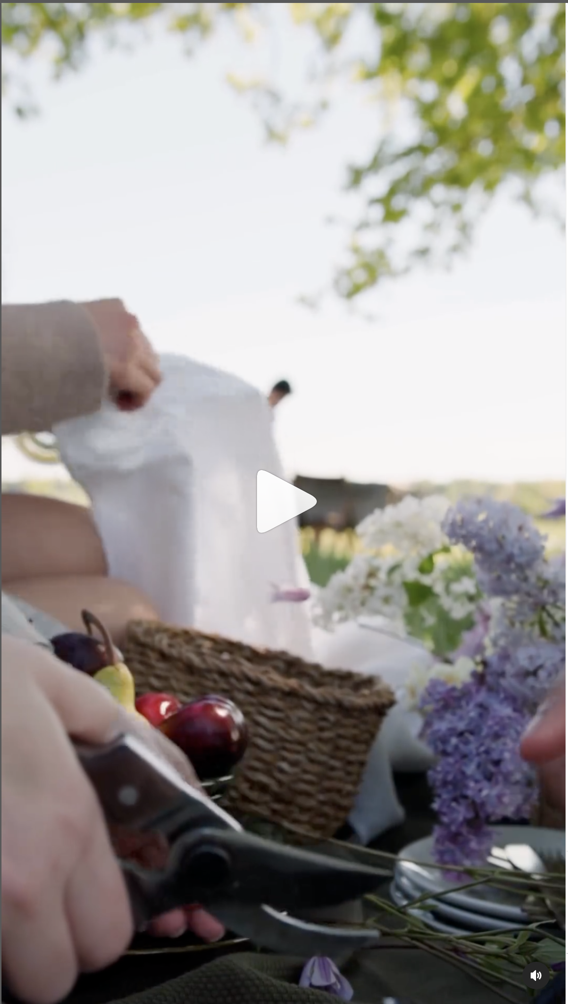 matrimoni in provenza matrimoni in provenza